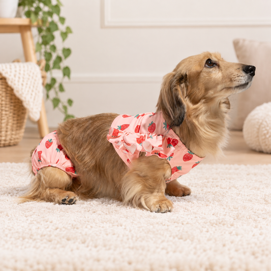 Strawberry Dog Bikini