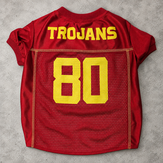 Mesh Dog Football Jersey